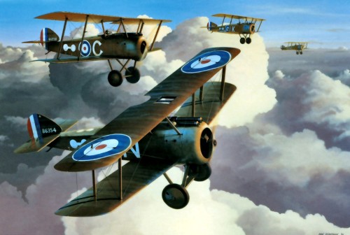 Camels over Italy1917 Sopwith Camel B6354 No 45 Squadron profile 10, Osprey AoA 52