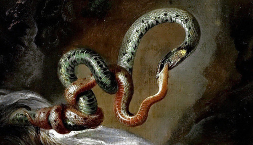 niiv:  From Head of Medusa (1617-1618) by