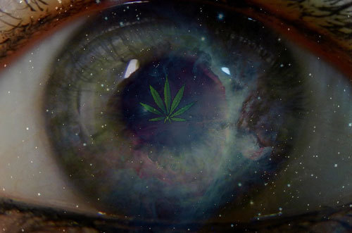 fastestslothalive:  http://smokelikesky.tumblr.com/ 