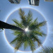 sunandglory: