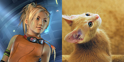 amandablogsthings:  Final Fantasy X : Catnip 