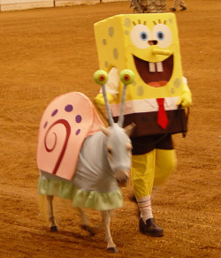 colormyhippo:  i googled “mini horses in costumes” and was not disappointed  