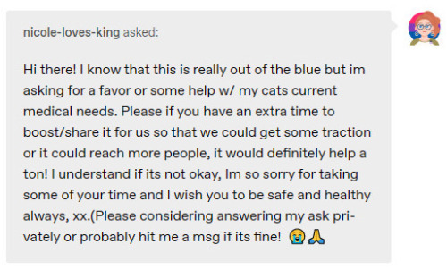 Red Flags: How To Identify A Tumblr Scam (Pet Edition)