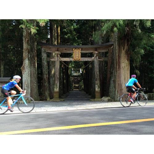 i-p-f-s:  - #参道Vibes #内尾神社 - #篠山  #タニヤンライド - #findyourownroad  #outsideisfree #fromwhereiride #roads