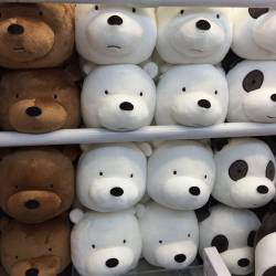 webareebears:Bear plushies that are in harajuku