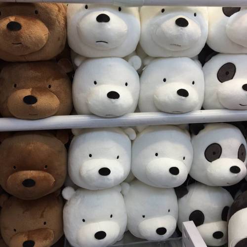 Sex webareebears:Bear plushies that are in harajuku pictures