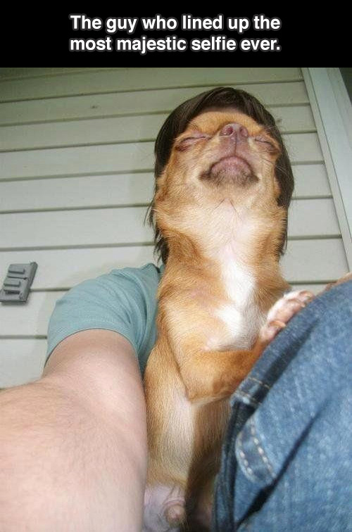 breathless-sound:  wxng:  trendingly:  The 15 Most Perfectly Timed Selfies Ever Taken