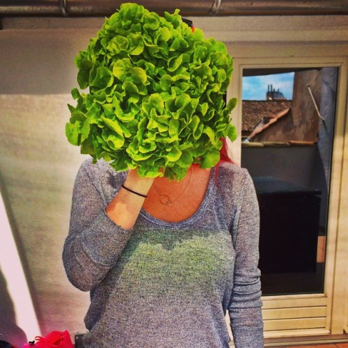 Aix-en-Provence, day 12: lettuce head - this was seriously 0.50 euros and so freaking tasty. (at Ax en Provence, France)