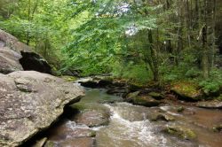 naturalsceneries:Virginia Creeper Trail, Damascus, Virginia USA by Milest303