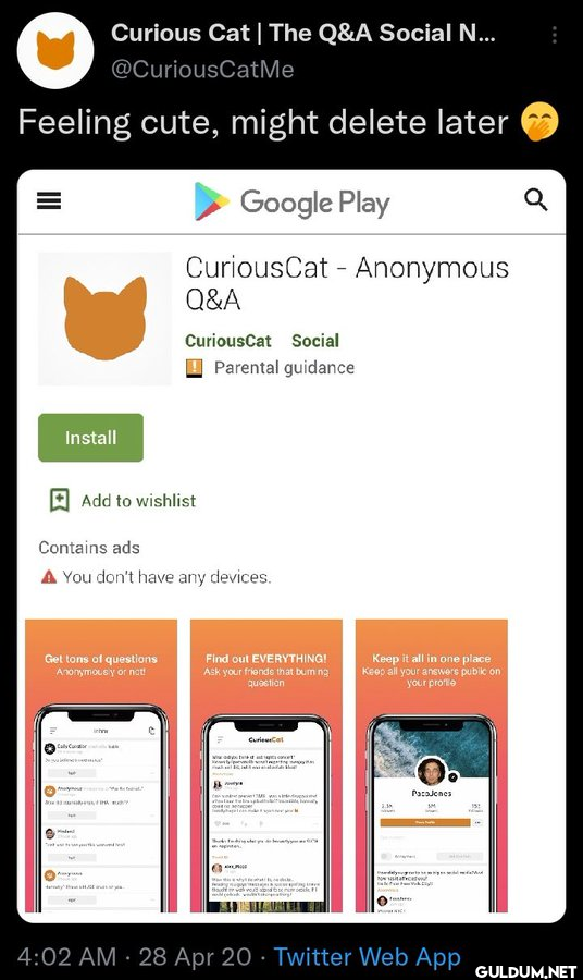 Curious Cat | The Q&A...