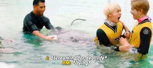 Rip Seokjin