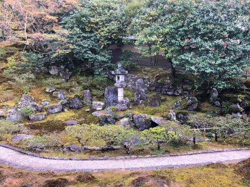 ＼おにわさん更新情報／ ‪[ 京都市左京区 ] 霊鑑寺庭園 Reikanji Temple Garden, Kyoto の写真・記事を更新しました。 ーー“椿の寺”とも称される椿の名所 #後水尾天皇 