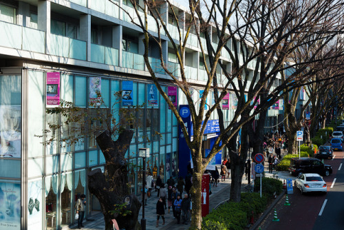 toshibu:  tokyo - omotesando hills by Doctor Casino on Flickr. 