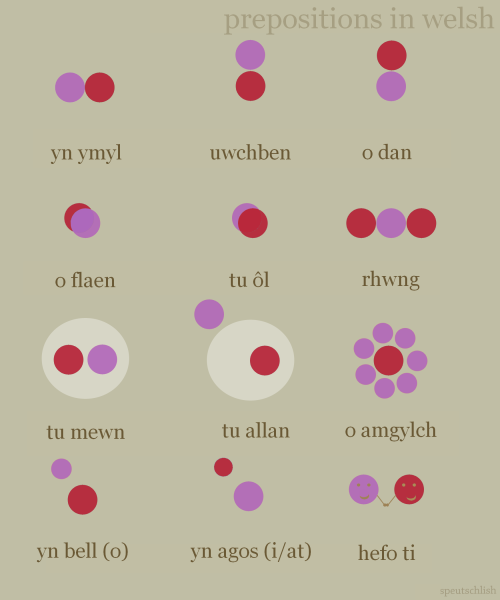 speutschlish:  Prepositions in Welsh! Thanks to popplesamer for the translations! You are the purple
