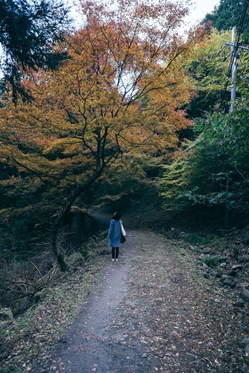 もう変わることがないと信じていた感情だって、何かの瞬間で180度変わってしまうこともあって、でもそれは良い悪いとかではなくて、自分で許せるかどうかということ。| instagram | iPhone 
