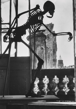 itsjohnsen:  A class skeleton stands damaged in the bombed ruins of Dresden, 1945. Richard Peter 