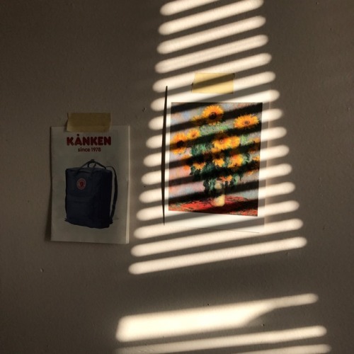 parachutepeach:the sun entered my room perfectly