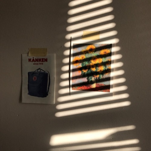 parachutepeach:the sun entered my room perfectly