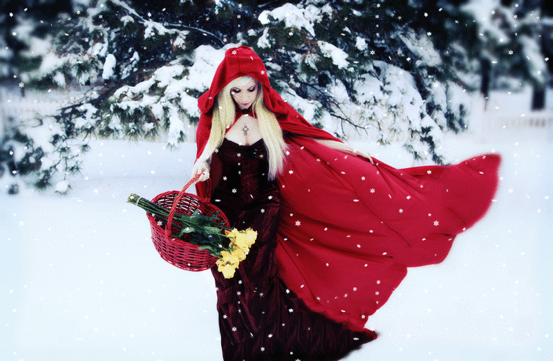 thelittleskylark:  “She did not know that the wolf was a wicked sort of animal,