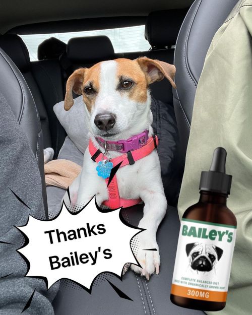 Bailey’s got Nikki through our 3 ½ hour trip to the shore. Our baby gets anxious in the car, 