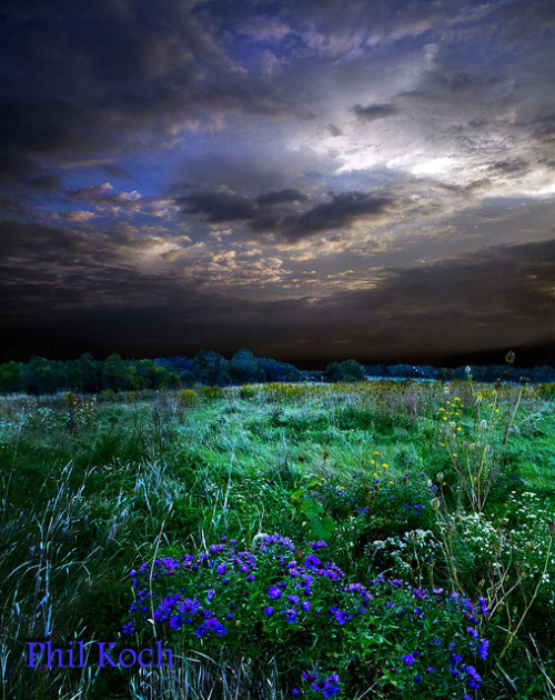 Christine&rsquo;s Blue Twilight by Phil~Koch on Flickr.