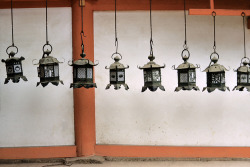 bellebissett:  Nara, Japan.  1961.  Lanterns hanging in Kasuga Shrine, which was founded in 7687 A.D. Photo by Burt Glinn