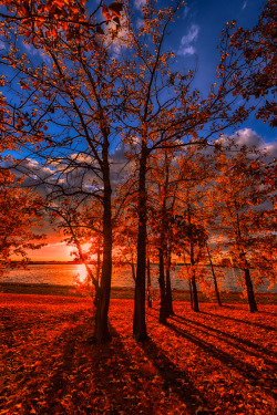 sundxwn:  Autumn Perfection by Ian McGregor 