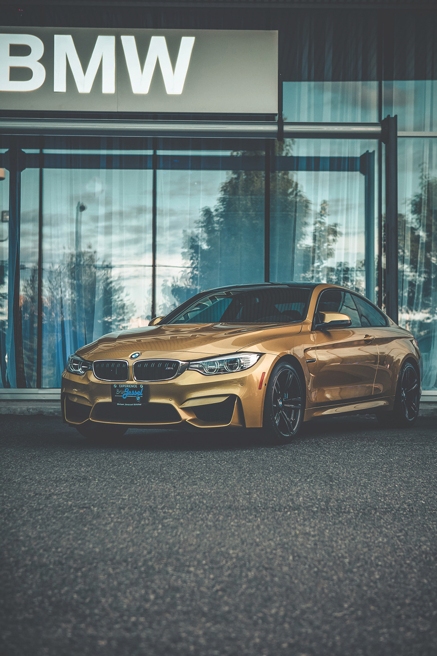Emotion And Motorsport