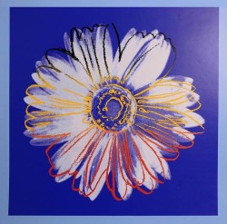 immafuster:  Andy Warhol - Daisy, 1982