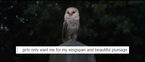 songforalonggoodbye:  Labyrinth + Text Posts Bonus Tweet   