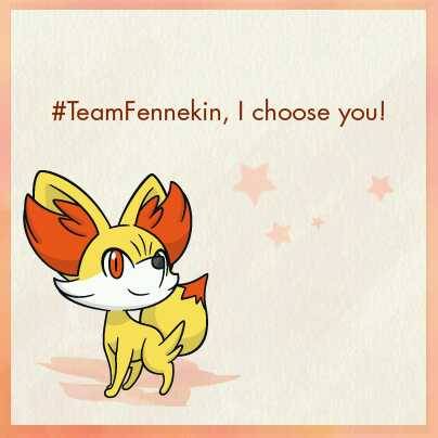 magicalgatomon:  Can’t wait for the midnight release this friday! Excitementttt!!!#TeamFennekin