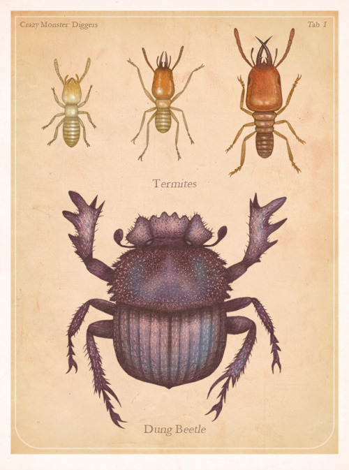 Various illustrations created for another Earth Touch / Smithsonian Channel documentary - CRAZY MONS