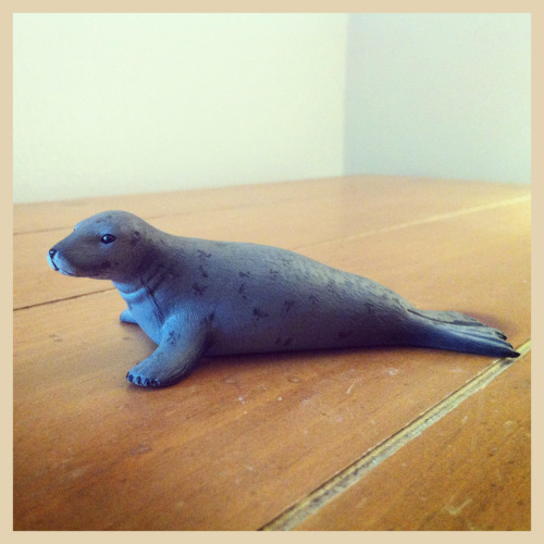 Grey Seal, Mojo Fun, 2012, ID 387091.