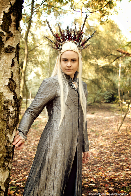 bittersuites:  Well here he is, finally… Thranduil. Just, you know, hanging, and being regal 