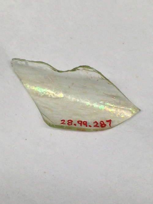 Fragment, Medieval ArtMedium: Glass, ceramicGift of Clarence H. Mackay, Archer M. Huntington, Stephe