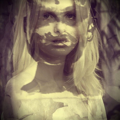 portrait (collage)