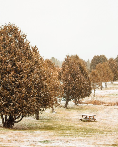 Snowing in Magog, QC ❄️https://www.instagram.com/caerule/