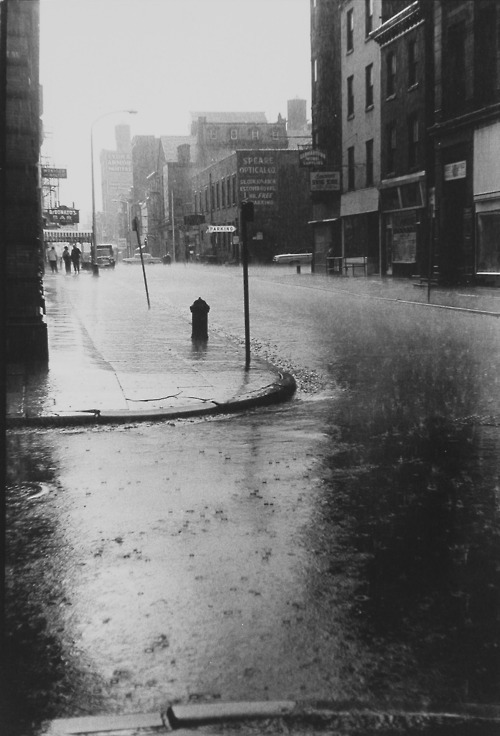 klotzblog:  Rain is the most beautiful of all weathers.  It is a tie whether rain in the car on a highway or rain in the middle of the city is my favorite.   