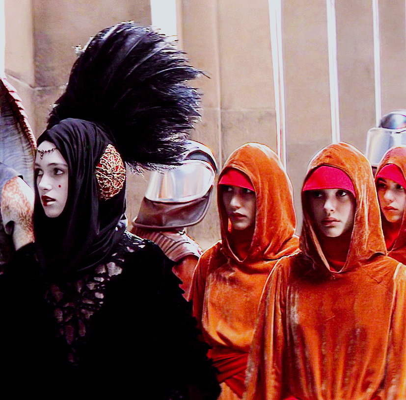 petróleo Generoso Querer ♕Handmaidens of Naboo♕ — Handmaiden Identification Guide; 12/? Star Wars...