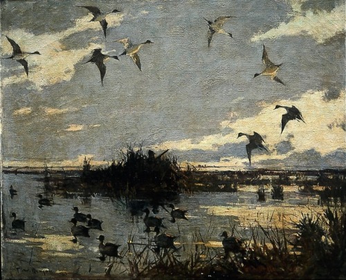 frank-benson: Pintails Decoyed, 1921, Frank W. Benson