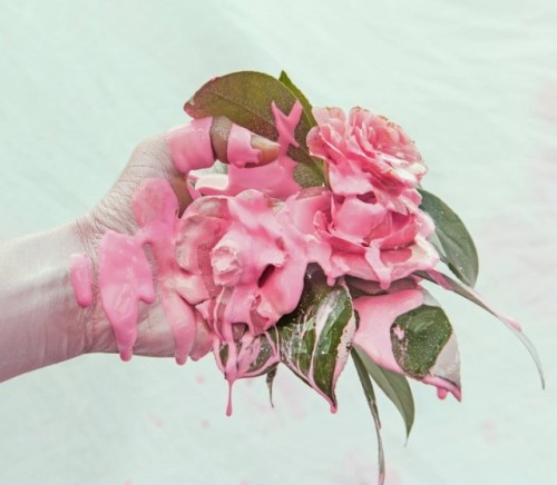 asylum-art-2:  Quirky Photography by Prue Stent  Prue Stent is a young  photographer based in Melbourne, Australia. Between azure and hot pink,  Pictures she captures are both quirky and poetic. Passionated about all  little singular details of women