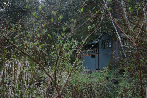 Porn amandakaynorman: Quinault, Washington photos