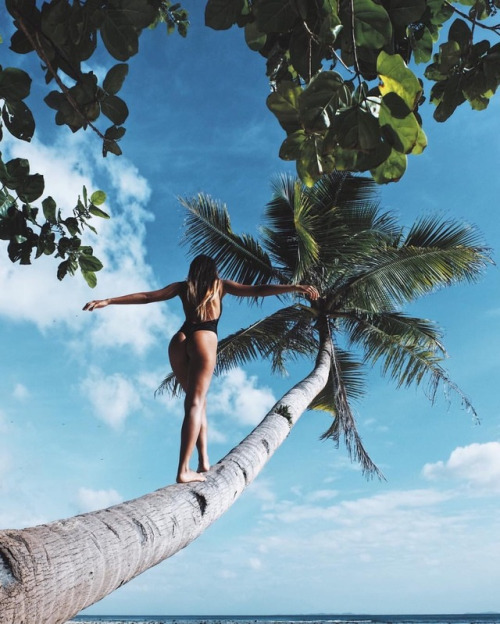 summer-spirit:  ☀🌴🌊