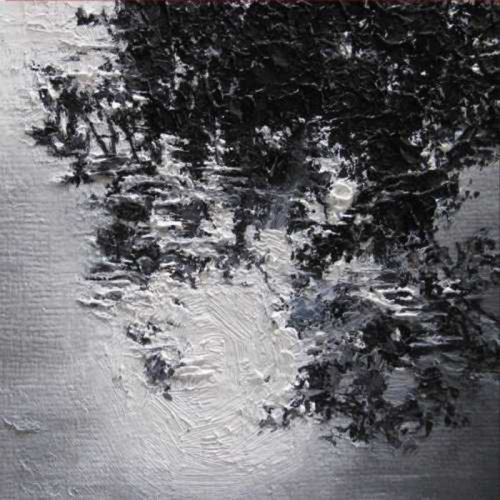 Silent Whale Becomes a Dream - Canopy