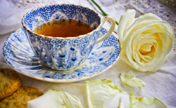 teatimewithemma:  Tea Time (by Lilla~Rose)