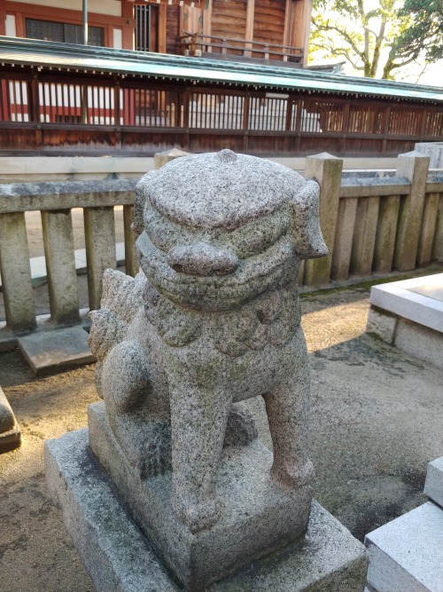 satumakko - 日常の風景を楽しむ