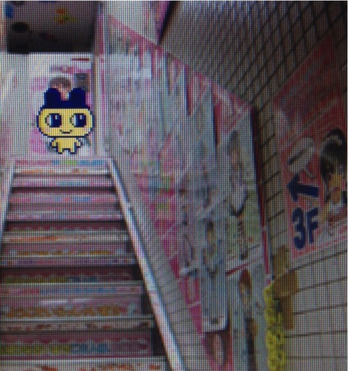 tamapalace:where in the world is Mametchi?