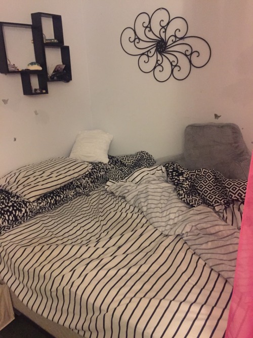 spoonie-living:rosiepotsy:Okay but seriously guys. I love how cozy my little nest is. It makes my an