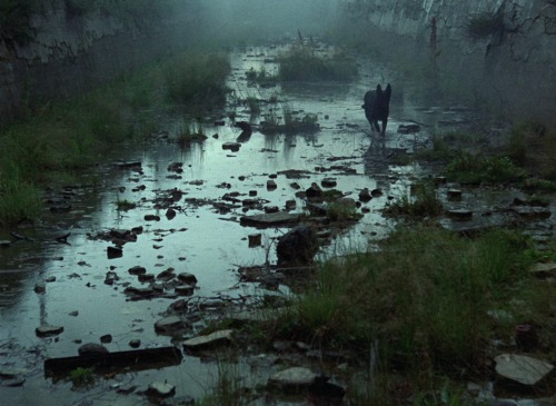 Stalker | Andrei Tarkovsky | 1979