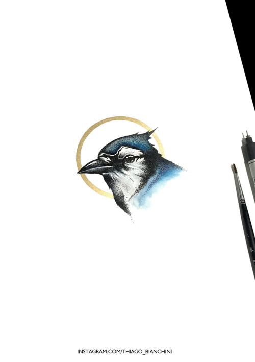 &lsquo;Blue Jay&rsquo;, 2021. A new experiment using Black Ink + Watercolor + Golden Ink. Fo